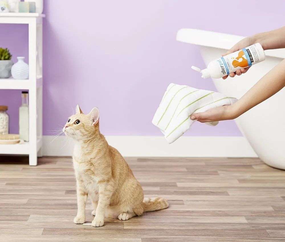 國內(nèi)外巨頭相繼入局，寵物洗護品成為新的掘金賽道？